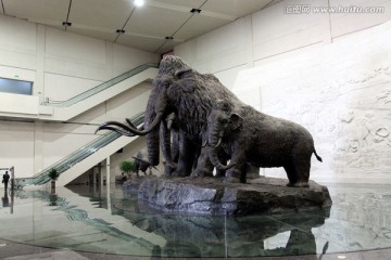 大庆 博物馆 雕塑 猛犸象
