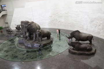 大庆 博物馆 雕塑 猛犸象 牛