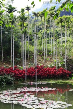 三亚浪漫之旅呀诺哒秀美风景