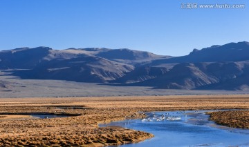 阿里高原风光