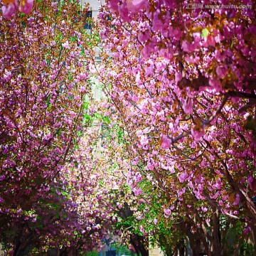 裝飾畫 風(fēng)景畫