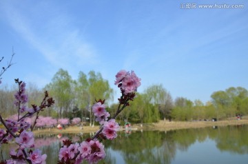 碧水蓝天