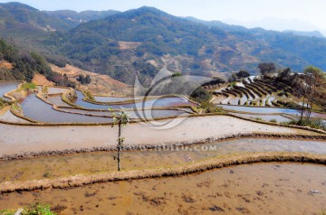 元阳梯田（高清）