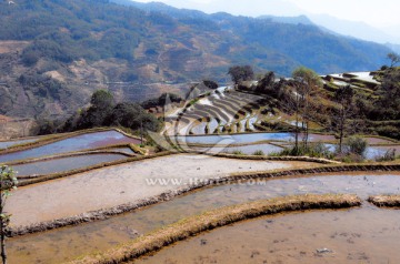 元阳梯田（高清）