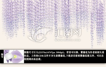 紫藤花背景墻