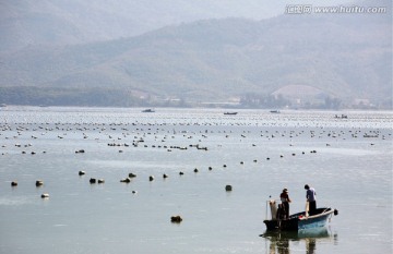 深圳南澳海滨 海鲜养殖 水产