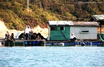 深圳南澳海滨 海鲜养殖