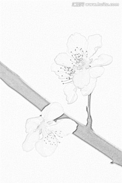 桃花素描