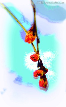 桃花油畫