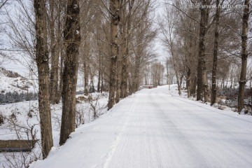 积雪的公路 道路