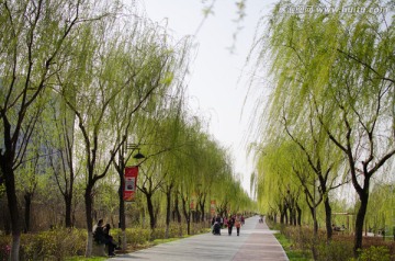 灞河湿地公园