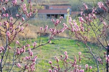 春季乡村