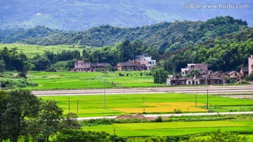 乡村景色