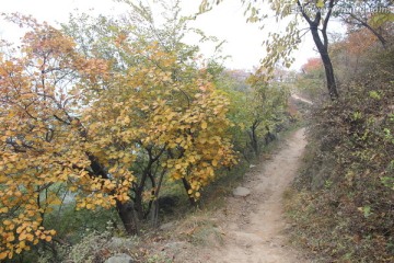 山间小路