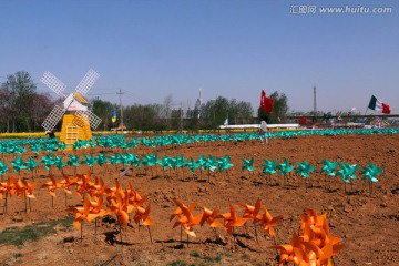 风车节