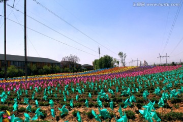 国际风车节