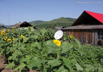 山村之乡 世外桃源