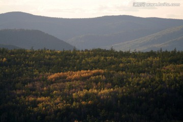 森林秋景