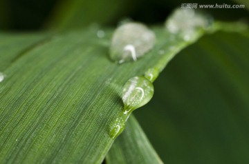 水特写