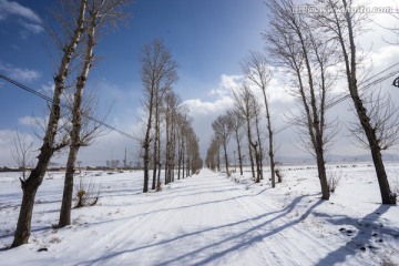 积雪的乡村公路 道路