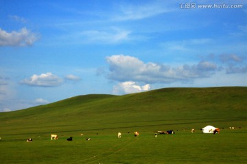 草原风光