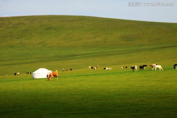 夏季草原蒙古包牧场