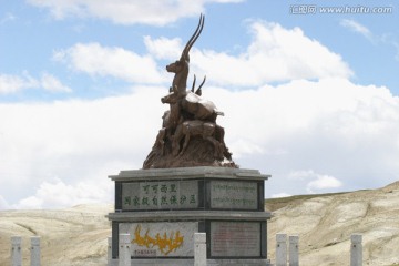 可可西里藏羚羊雕塑