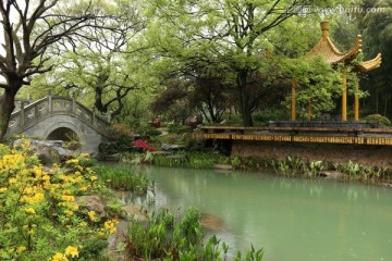 磨山风景