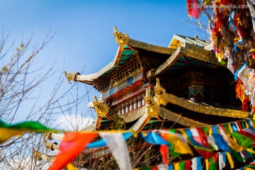 藏教 藏族文化