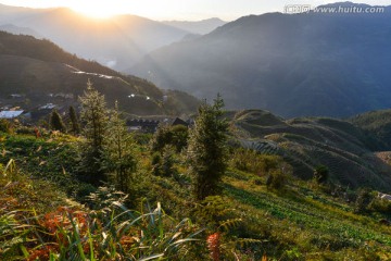 梯田日出