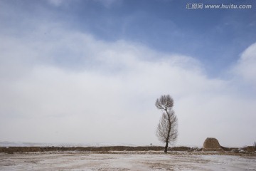 一棵树与土长城 天空