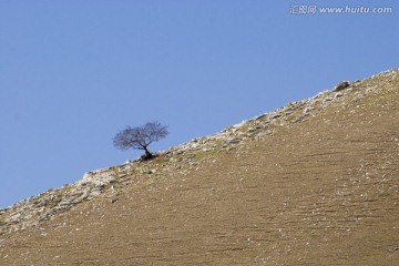 简约风景画