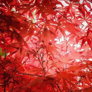 裝飾畫 油畫