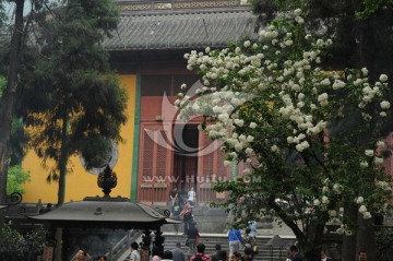 灵隐寺 杭州灵隐寺 禅意