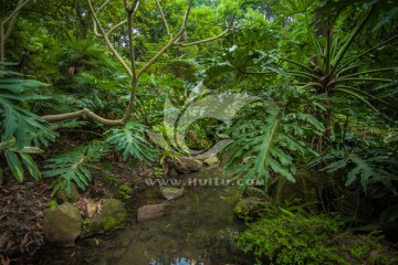 华南植物园