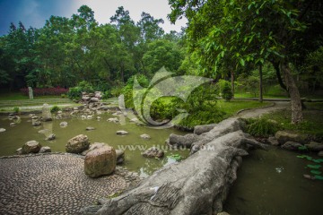 华南植物园