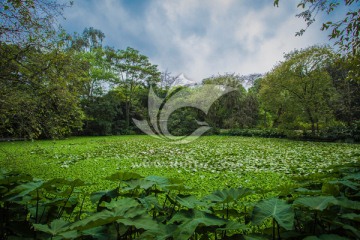 华南植物园