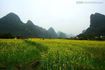 遇龙河