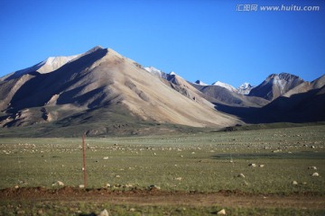 雪山 牧场 西藏