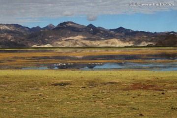 班公湖湿地 西藏