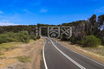 澳洲袋鼠岛热带雨林公路