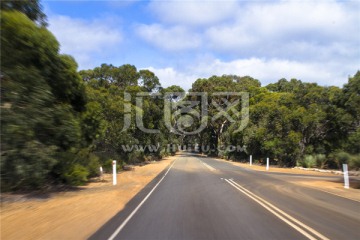 澳洲阿德莱德热带雨林公路风光