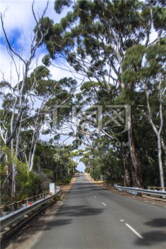 长长的澳洲热带雨林公路
