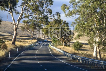 澳洲袋鼠岛热带雨林公路风光