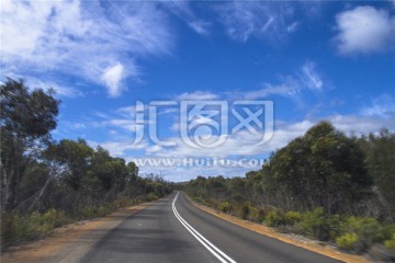 澳洲袋鼠岛热带雨林公路