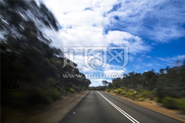 澳洲袋鼠岛热带雨林公路