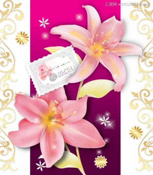 相冊(cè)封面
