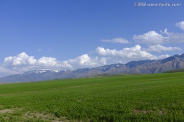 田野