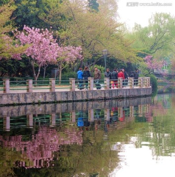 春季园林风光旅游