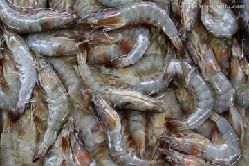 大虾 海鲜 海产品